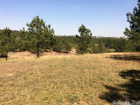 1799 Broken Bow, Bismarck, AR 71929 photo 7