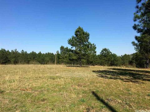 1799 Broken Bow, Bismarck, AR 71929 photo 19