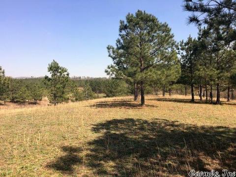 1799 Broken Bow, Bismarck, AR 71929 photo 5