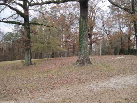 1810 Detherage Rd, Benton, AR 72019 photo 28