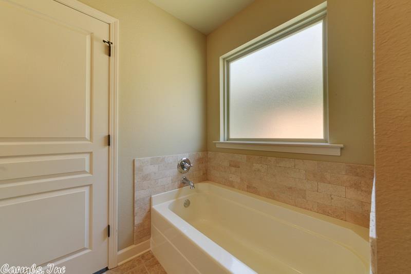 13 Chesapeake, Austin, AR 72007 photo 22
