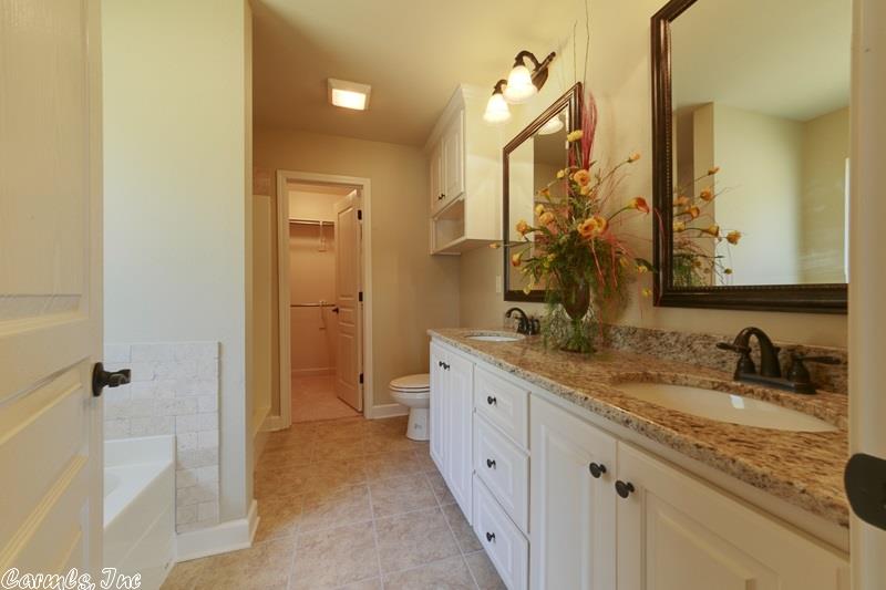 13 Chesapeake, Austin, AR 72007 photo 23