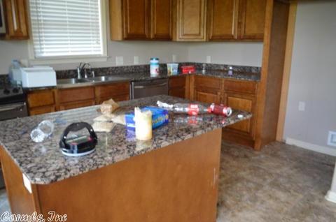 49 Mountain Vis, Alexander, AR 72002 photo 4
