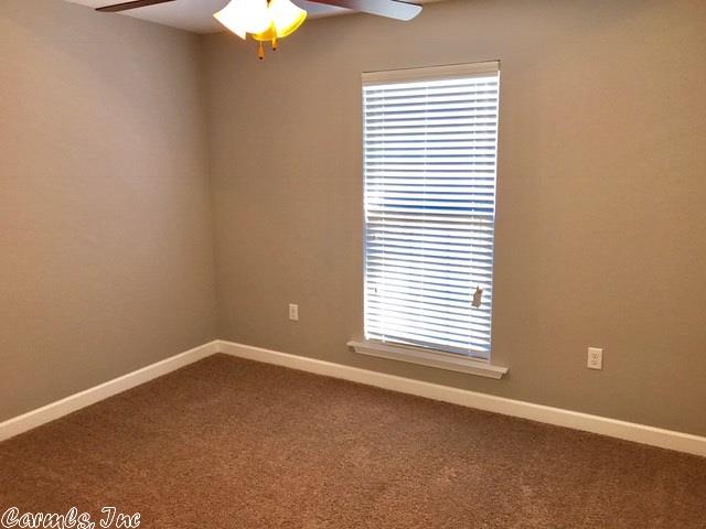 3967 Eastern Slope Dr, Alexander, AR 72002 photo 19