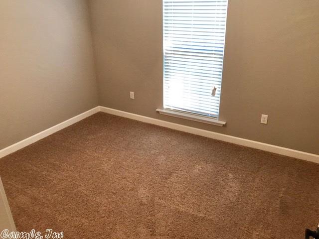 3967 Eastern Slope Dr, Alexander, AR 72002 photo 12