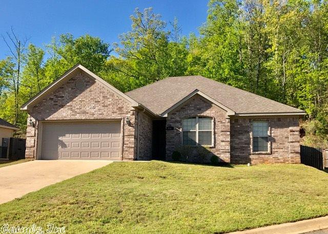 3967 Eastern Slope Dr, Alexander, AR 72002 photo 1