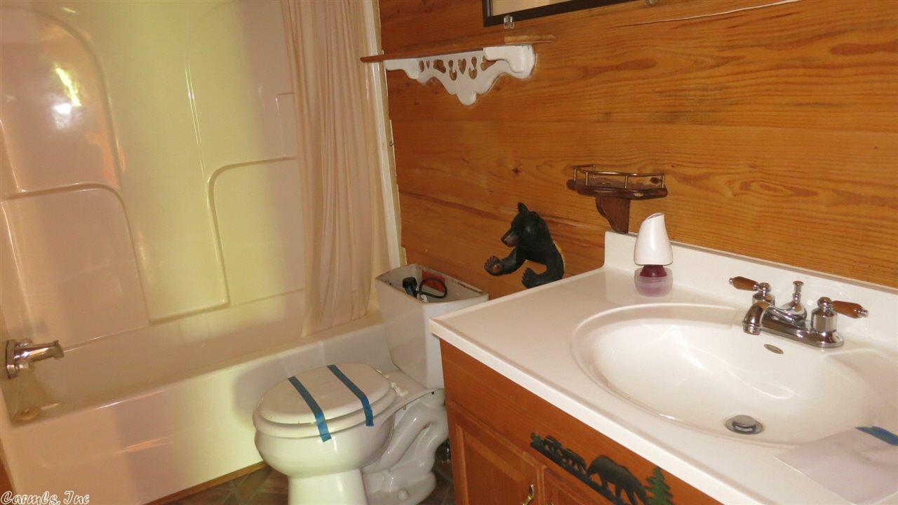 68 Jumbo Rd, Melbourne, AR 72556 photo 7