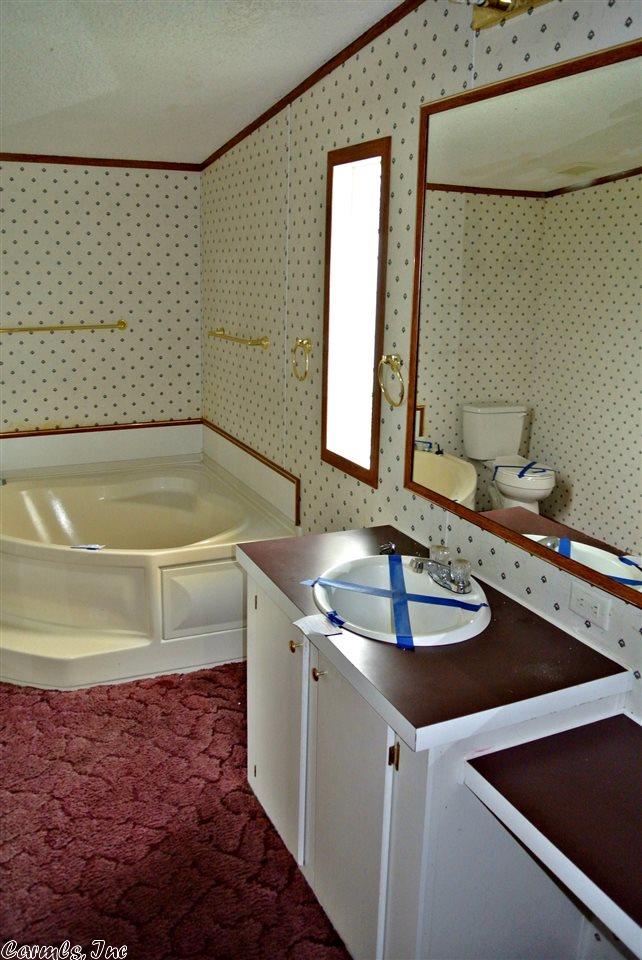 41 Bunting Ln, Conway, AR 72032 photo 11