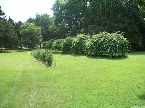 1449 Fox Chase, Greers Ferry, AR 72067 photo 20