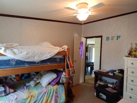 120 Cooper Rd, Rose Bud, AR 72137 photo 25