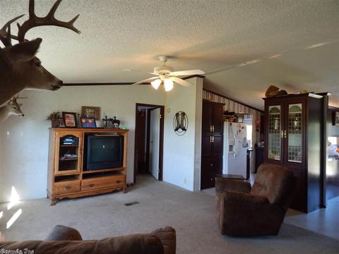 120 Cooper Rd, Rose Bud, AR 72137 photo 15