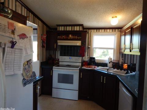 120 Cooper Rd, Rose Bud, AR 72137 photo 24