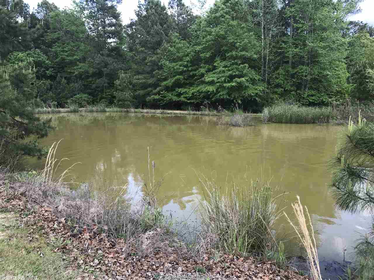 8901 Shannon Rd, Pine Bluff, AR 71603 photo 6