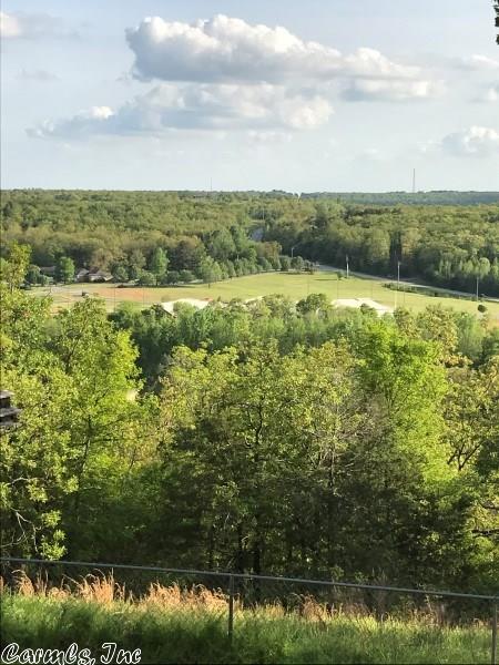 385 Deboer Rd, Cabot, AR 72023 photo 36
