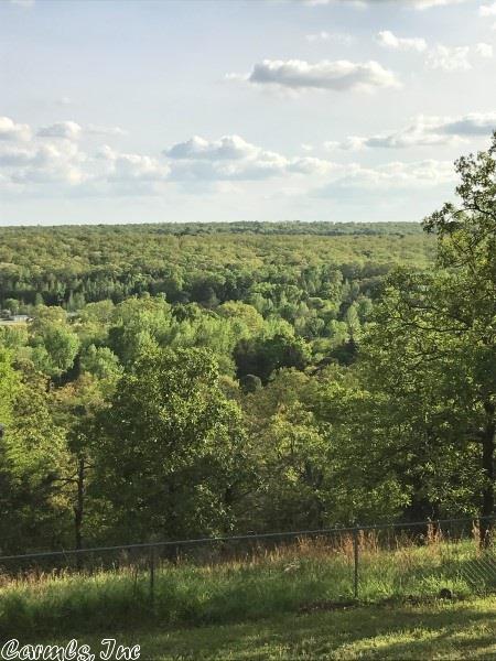 385 Deboer Rd, Cabot, AR 72023 photo 35