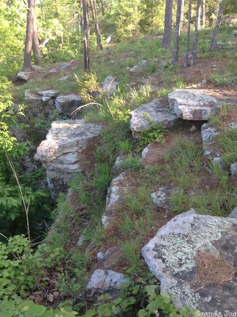 900 Diamond Head Rd, Drasco, AR 72530 photo 6