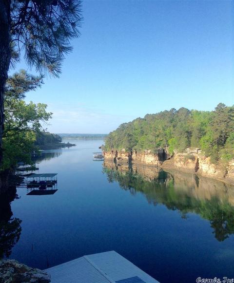 900 Diamond Head Rd, Drasco, AR 72530 photo 1