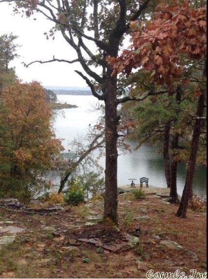 900 Diamond Head Rd, Drasco, AR 72530 photo 5