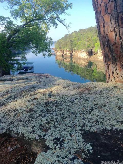900 Diamond Head Rd, Drasco, AR 72530 photo 2