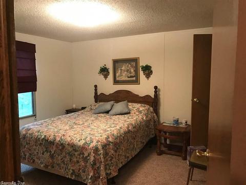 14 Lewis Dr, Quitman, AR 72131 photo 4