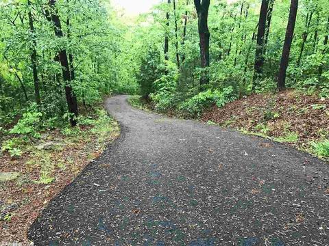 14 Lewis Dr, Quitman, AR 72131 photo 2