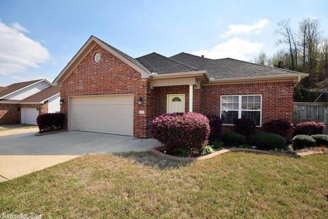 13615 Dynasty Dr, Alexander, AR 72002 photo 1