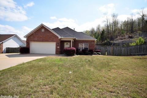 13615 Dynasty Dr, Alexander, AR 72002 photo 4