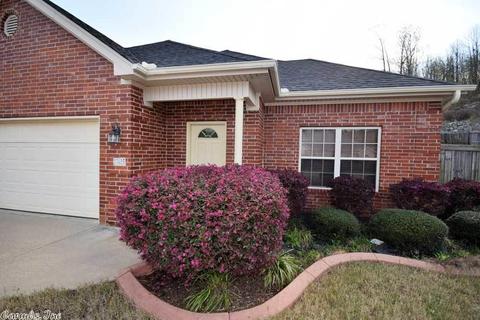 13615 Dynasty Dr, Alexander, AR 72002 photo 2