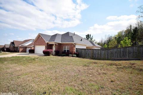 13615 Dynasty Dr, Alexander, AR 72002 photo 3