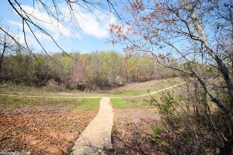 13615 Dynasty Dr, Alexander, AR 72002 photo 40