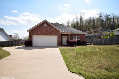 13615 Dynasty Dr, Alexander, AR 72002 photo 5