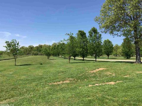 1931 Day Rd, Ash Flat, AR 72513 photo 19
