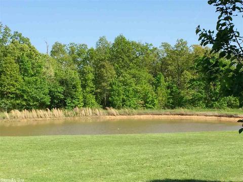 1931 Day Rd, Ash Flat, AR 72513 photo 2