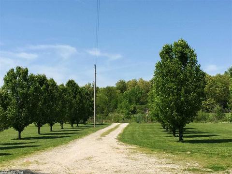 1931 Day Rd, Ash Flat, AR 72513 photo 18