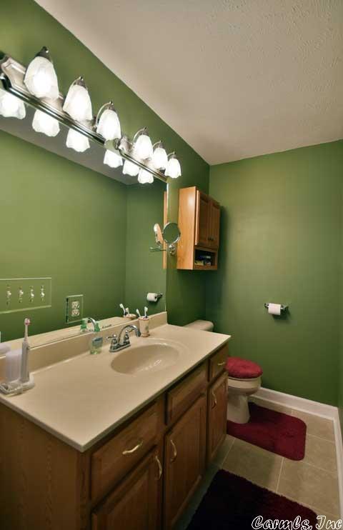 2 Mitchell Cir, Greenbrier, AR 72058 photo 22
