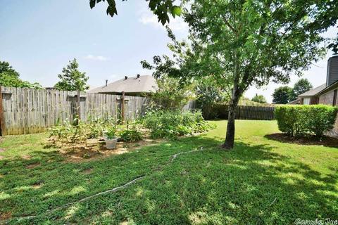 2 Mitchell Cir, Greenbrier, AR 72058 photo 33