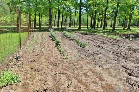 2930 Edgemont Rd, Quitman, AR 72131 photo 22