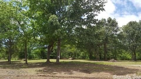3993 Hwy 260, Augusta, AR 72006 photo 1
