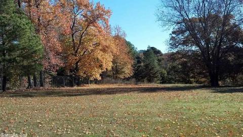 1348 Waller, Bee Branch, AR 72013 photo 40