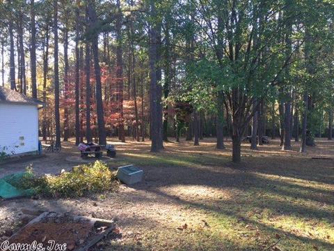 817 Cole Dr, Benton, AR 72015 photo 17
