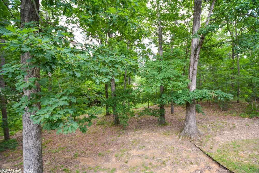 3 Raleigh Ln, Alexander, AR 72002 photo 34