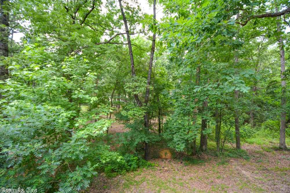 3 Raleigh Ln, Alexander, AR 72002 photo 33
