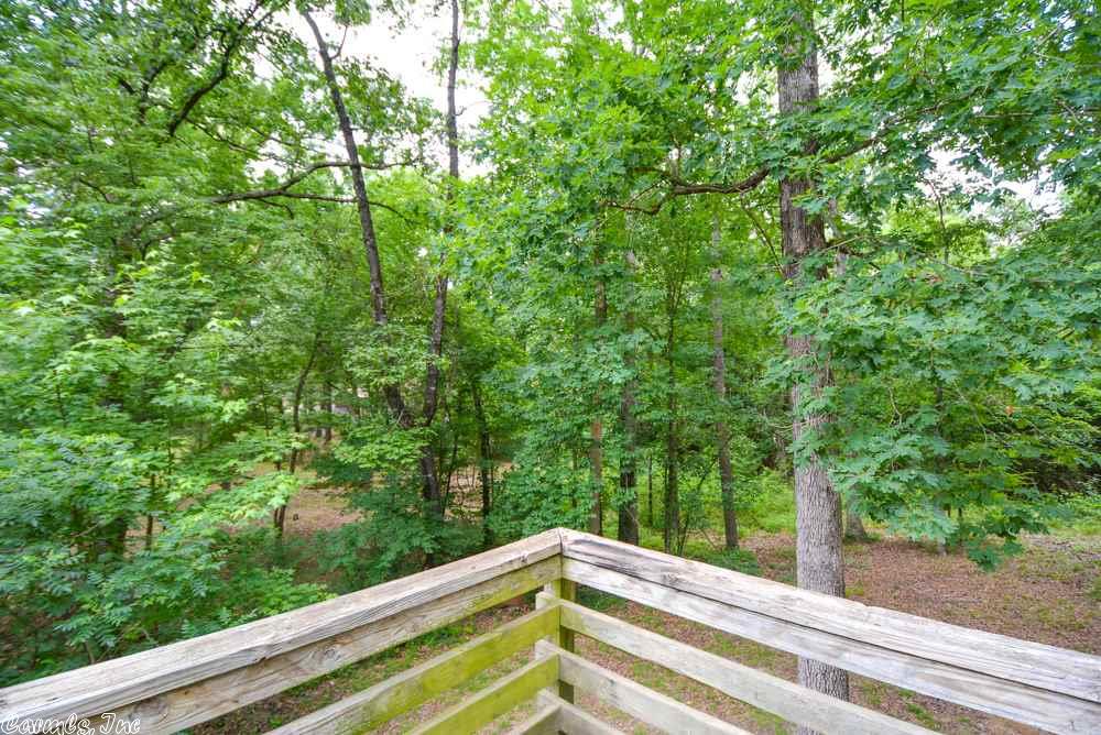 3 Raleigh Ln, Alexander, AR 72002 photo 39