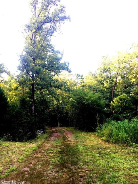 70 Pine Valley Dr, Conway, AR 72034 photo 18