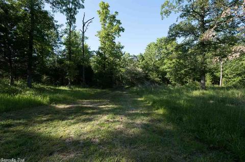 70 Pine Valley Dr, Conway, AR 72034 photo 5