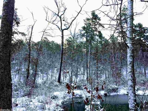 70 Pine Valley Dr, Conway, AR 72034 photo 29