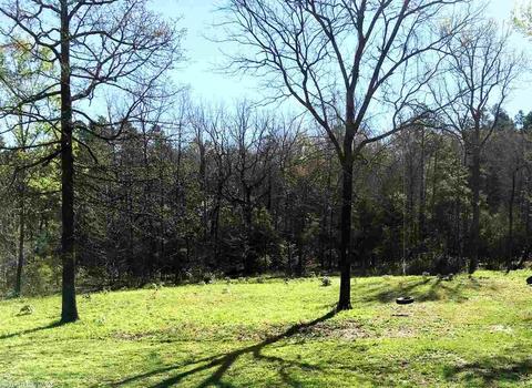 70 Pine Valley Dr, Conway, AR 72034 photo 20