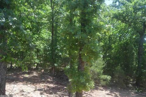 41 Ridgepoint Ln, Cabot, AR 72023 photo 10