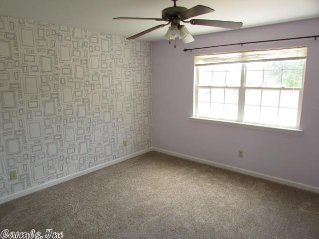 200 Mountain View St, Bismarck, AR 71929 photo 16