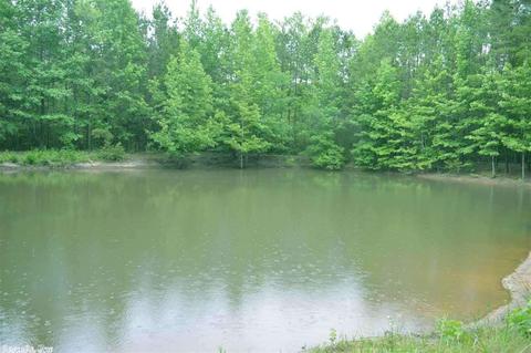 137 E Cadron Ridge Rd, Greenbrier, AR 72058 photo 34